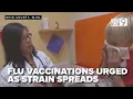 Wheeling health s urge flu vaccinations as Subklade K strain spreads rapidly