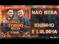 NÃO BEBA (EU FALO QUE DE SAUDADE ESSE CARA AQUI NÃO MORRE) - Iguinho e Lulinha (Áudio Oficial)