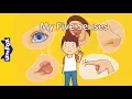 My Five Senses | Science | Body | Little Fox | Bedtime Stories