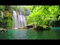 Deep Healing Music, Healing Your Nervous System, Instant Relief from Stress and Anxiety, Calm Nature