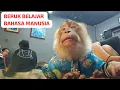 Download Lagu AJAK BERUK BESAR BESAR NONGKRONG DI WARKOP‼️