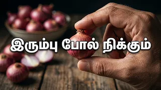 இப்படி சாப்பிட்டு பாருங்க சலிக்காமல் செய்யலாம் இரும்பு போல் நிக்கும் உயிர்சக்தியான | onion benefits