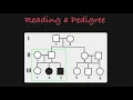 How to Read a Pedigree