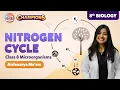 Nitrogen Cycle Class 8 Science - Microorganisms Friend Foe Concepts BYJU S