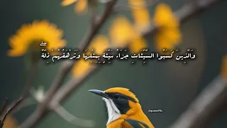 سورة يونس بصوت جميل وهادي للقارئ عبدالرحمن مسعد  سورة يونس بصوت جميل وهادي للقارئ عبدالرحمن مسعد