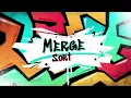 Merge Sort - Python Exercise Merge Sort with Python Python Logic Building Python in hindi