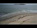 Reverie 73 Presents Getting High With BevCam Ep 2 Whispers Over Water