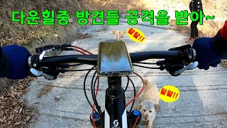[라이딩코스] 아산 광덕산-봉수산-서남대 임도 풀코스 한방에 끝내기/ mtb 마니아를 위한 60km 임도 구간에 연결된 지선임도 상세 소개 썸네일