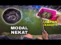Download Lagu Galatama Lele Tanpa Kedi! Tanpa persiapan dan pake umpan seadanya