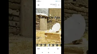 شلیک به یخ با کرال آرمز دندنها