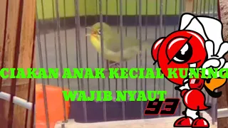 Download anak kecial kuning respon cepat MP3