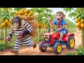 Monkey Nana Drives a Tractor to Harvest Papayas and Plans a Trap to Catch the Farm Thief
