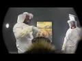 Bee POV