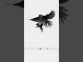 Download Lagu Baaz ne kabutar pakad liya #kabootar #shortvideo #pigeon #falcon