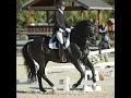 Total Wellness Combination Supplement for Horses