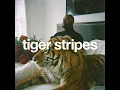 Tiger Stripes