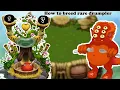 How to breed rare drumpler in my singing monsters plant island