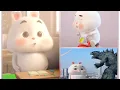 Tik tok compilation Super Cute Fat Rabbit | Si embul kelinci lucu
