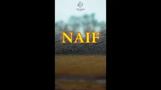 naif posesif lyric video 