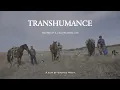 Transhumance - Routes of a disappearing life