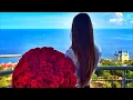 🥀Лебеді Лебеді, Amaya Roma 2025)(Хит🥀