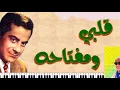 موسيقى قلبي ومفتاحه  : عزف الموسقار عمار الشريعي (( Muwafaq  Al Fadi ))