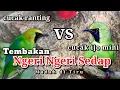 Download Lagu TEMBAKAN CUCAK RANTING || CUCAK RANTING GACOR FULL ISIAN TEMBAKAN Download Lagu TEMBAKAN CUCAK RANTING || CUCAK RANTING GACOR FULL ISIAN TEMBAKAN