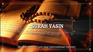hd surah 36 yasin beserta bacaan rumi