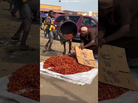 Prank Goes Wrong! Watch What This Clever Shopkeeper Did 🤯#fact
