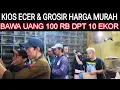 Lagu ✅GAK MAHAL BAWA UANG 100 RB BAWA PULANG 10 ekor KIOS TEMPAT ECER \u0026 GROSIR DI PASAR BURUNG PRAMUKA