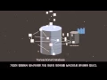 Microsoft SQL Server 2016 Real Time Operational