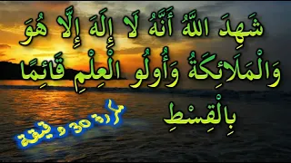 شهد الله أنه لا إله إلا هو و الملائكة و أولوا العلم قائما بالقسط مكررة 30 دقيقة  شهد الله أنه لا إله إلا هو و الملائكة و أولوا العلم قائما بالقسط مكررة 30 دقيقة