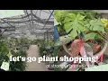 Plant Shopping at Strange s Garden Center in Mechanicsville VA