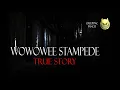 Download Lagu Wowowee Stampede - True Story
