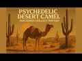 Download Lagu Psychedelic Desert Rock Mix | Camel Trippy Road Trip Grooves | Percussion Trip Hop