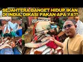 Download Lagu GEDE2NYA GA NGOTAK‼️KITA MAU BORONG SEMUA MALAH DITAWAR GRATIS SAMA PENJUALNYA‼️