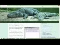 Formatting Json With Notepad Tutorial