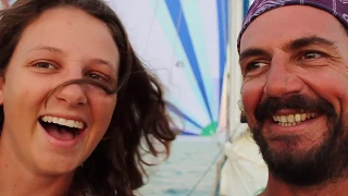 Coconuts and Spinnaker Runs – Free Range Sailing Ep 5