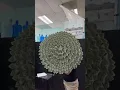 100 or 200 bills Money Bouquet