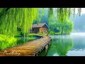 Download Lagu Helende muziek voor innerlijke rust 🌿 Stressverlichting, geweldige ontspannende muziek