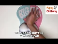 Cute Corgi Booty Anime Mouse Pad for Corgi Lovers