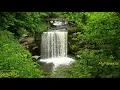 Download Lagu Âm thanh nước chảy, chim hót, cùng nhạc Piano thư giãn
