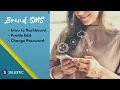 01 Branded SMS Introduction to Branded SMS Dashboard Sellistic 2 24 min