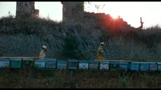 Les Merveilles - Bande Annonce VOST