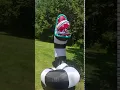 9 5 ft Pre-Lit Beetlejuice Sandworm Animated Airblown Inflatable