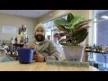 Westgate Wine Referral Reward Winner