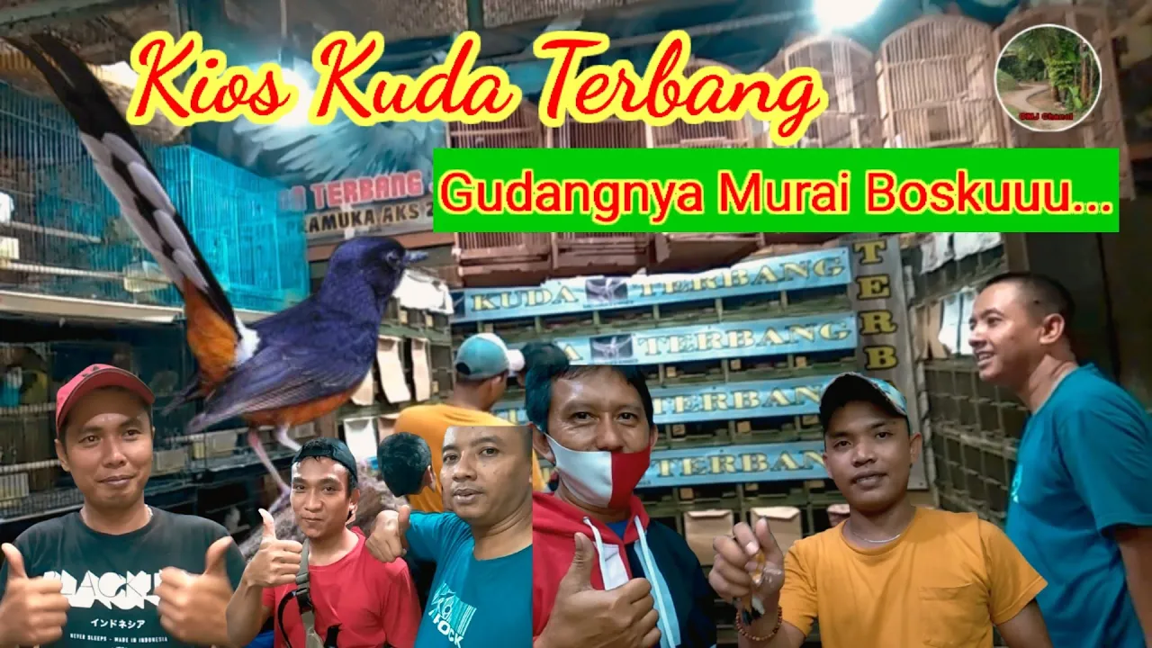 
          
          
          
            
            Review Harga Terbaru Murai Kios Kuda Terbang Pasar Pramuka
          
        . 
