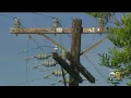 Glendale Endures 2 Power Outages As Temperatures Rise