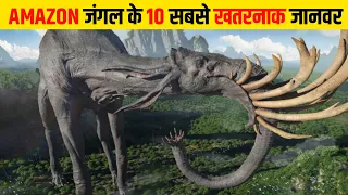  10 10 dangerous animals of amazon jungle 
