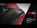 2020 BRED Jordan Max Aura 2 FIRST LOOK